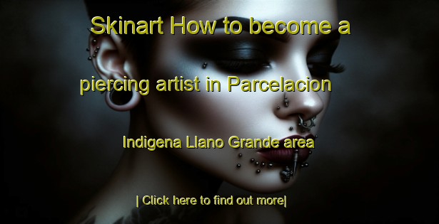 Skinart How to become a piercing artist in Parcelacion Indigena Llano Grande area-United Kingdom