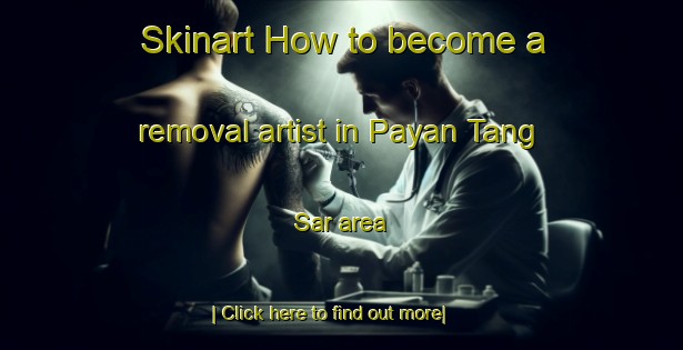 Skinart How to become a removal artist in Payan Tang Sar area-United Kingdom