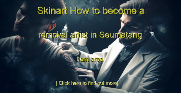 Skinart How to become a removal artist in Seumatang Itam area-United Kingdom