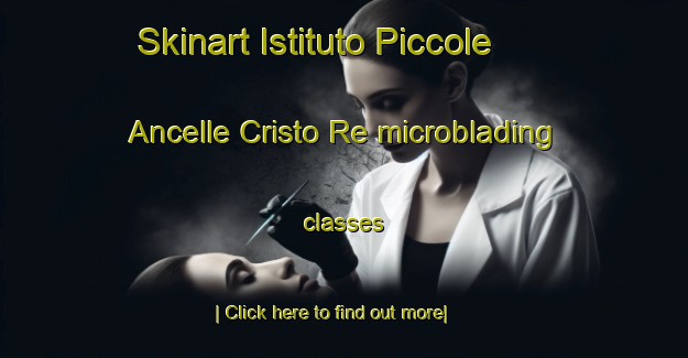 Skinart Istituto Piccole Ancelle Cristo Re microblading classes-United Kingdom