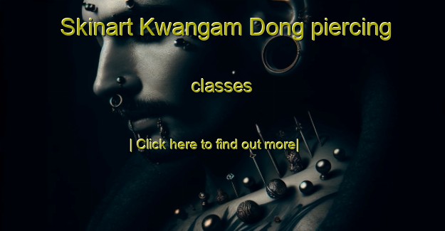 Skinart Kwangam Dong piercing classes-United Kingdom