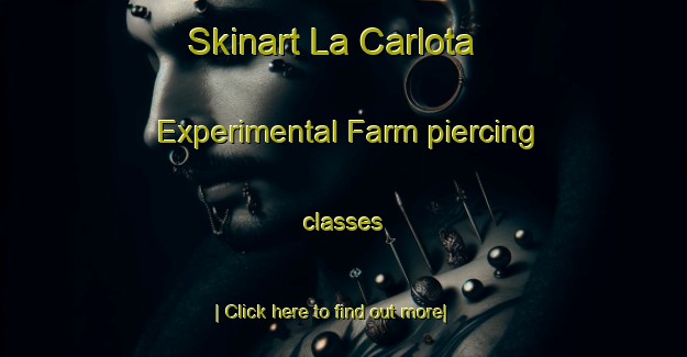 Skinart La Carlota Experimental Farm piercing classes-United Kingdom