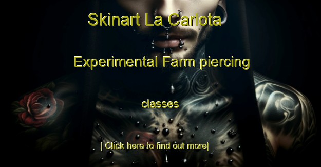 Skinart La Carlota Experimental Farm piercing classes-United Kingdom