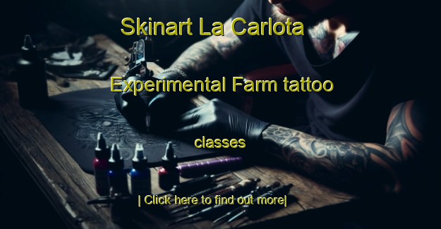 Skinart La Carlota Experimental Farm tattoo classes-United Kingdom