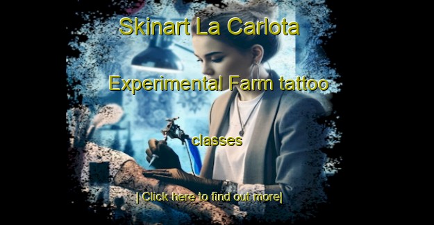 Skinart La Carlota Experimental Farm tattoo classes-United Kingdom