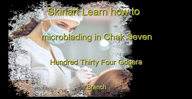 Skinart Learn how to microblading in Chak Seven Hundred Thirty Four Gogera Branch-United Kingdom