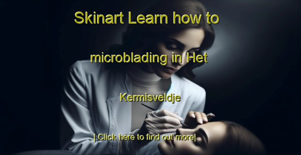 Skinart Learn how to microblading in Het Kermisveldje-United Kingdom