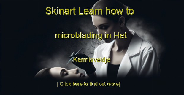 Skinart Learn how to microblading in Het Kermisveldje-United Kingdom