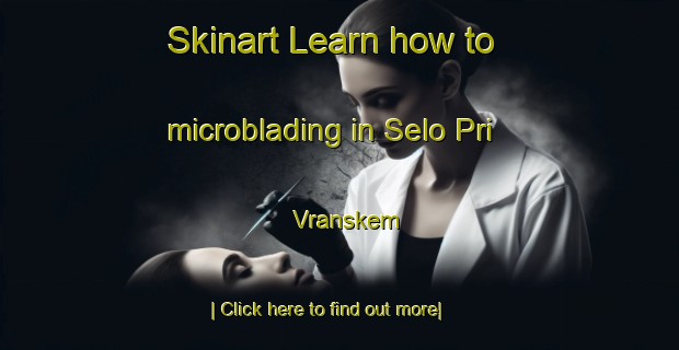 Skinart Learn how to microblading in Selo Pri Vranskem-United Kingdom