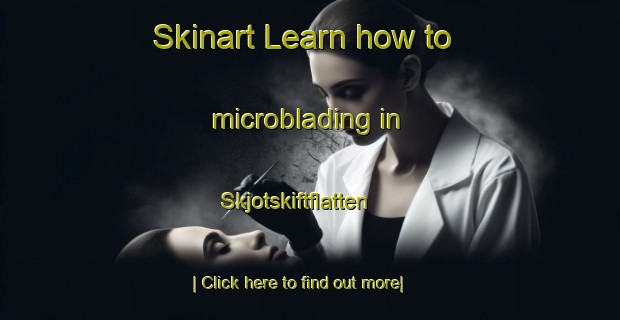 Skinart Learn how to microblading in Skjotskiftflatten-United Kingdom