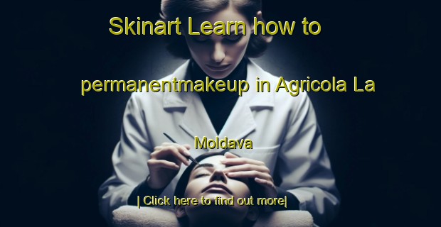 Skinart Learn how to permanentmakeup in Agricola La Moldava-United Kingdom