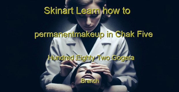 Skinart Learn how to permanentmakeup in Chak Five Hundred Eighty Two Gogera Branch-United Kingdom