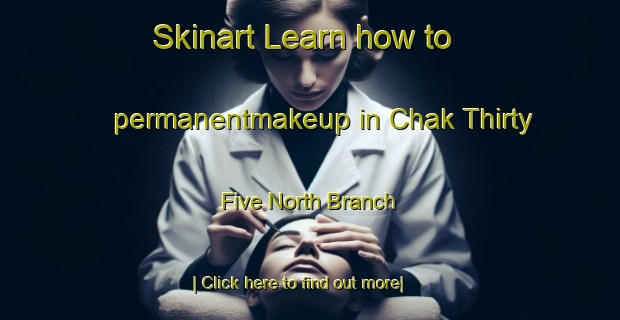 Skinart Learn how to permanentmakeup in Chak Thirty Five North Branch-United Kingdom