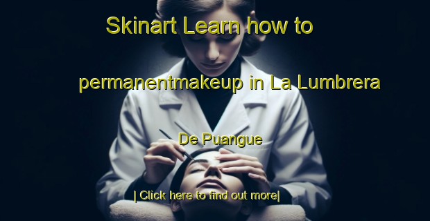 Skinart Learn how to permanentmakeup in La Lumbrera De Puangue-United Kingdom