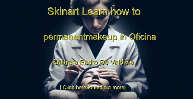 Skinart Learn how to permanentmakeup in Oficina Salitrera Pedro De Valdivia-United Kingdom