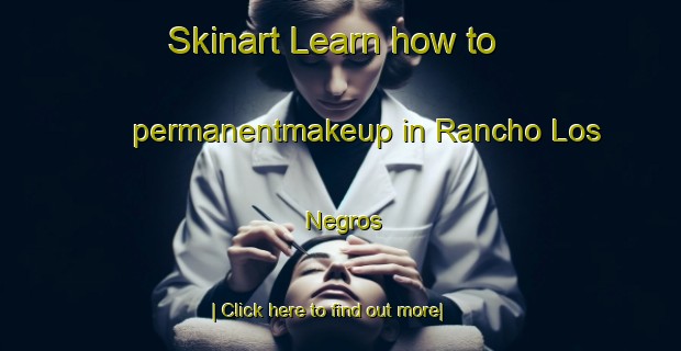 Skinart Learn how to permanentmakeup in Rancho Los Negros-United Kingdom