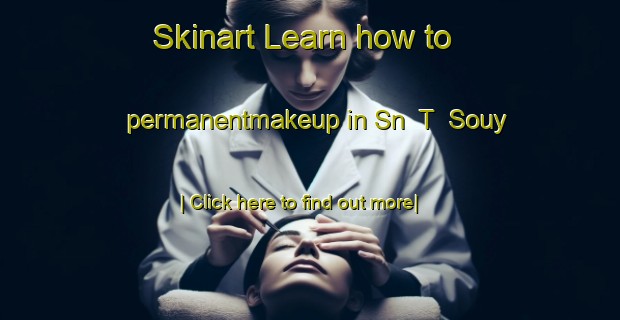 Skinart Learn how to permanentmakeup in Sn  T  Souy-United Kingdom