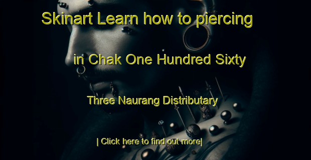 Skinart Learn how to piercing in Chak One Hundred Sixty Three Naurang Distributary-United Kingdom