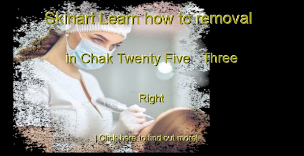 Skinart Learn how to removal in Chak Twenty Five   Three Right-United Kingdom