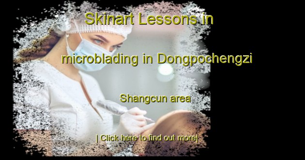 Skinart Lessons in microblading in Dongpochengzi Shangcun area-United Kingdom