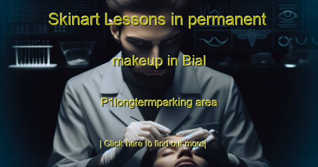 Skinart Lessons in permanent makeup in Bial P1longtermparking area-United Kingdom