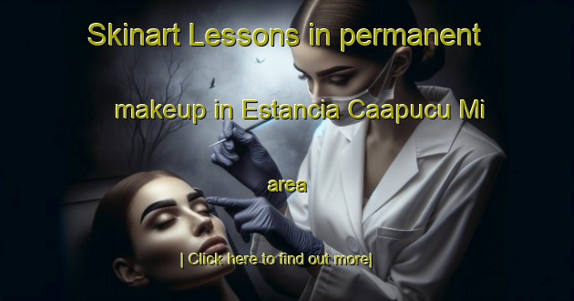 Skinart Lessons in permanent makeup in Estancia Caapucu Mi area-United Kingdom