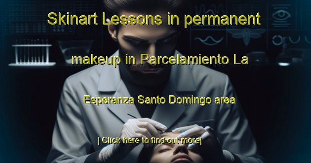 Skinart Lessons in permanent makeup in Parcelamiento La Esperanza Santo Domingo area-United Kingdom