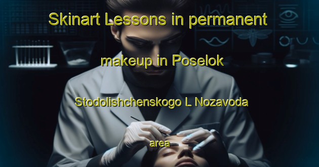 Skinart Lessons in permanent makeup in Poselok Stodolishchenskogo L Nozavoda area-United Kingdom