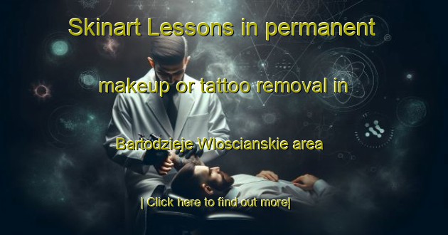 Skinart Lessons in permanent makeup or tattoo removal in Bartodzieje Wloscianskie area-United Kingdom