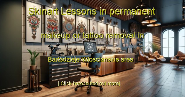 Skinart Lessons in permanent makeup or tattoo removal in Bartodzieje Wloscianskie area-United Kingdom