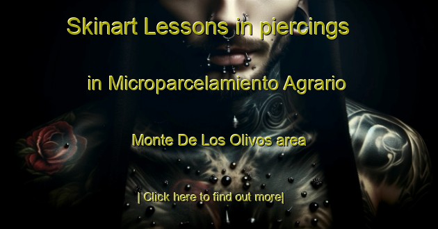 Skinart Lessons in piercings in Microparcelamiento Agrario Monte De Los Olivos area-United Kingdom