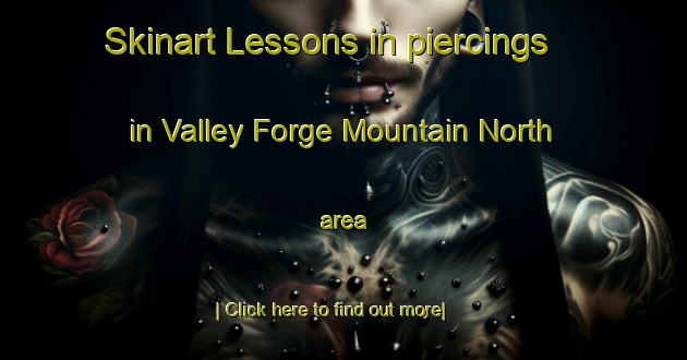 Skinart Lessons in piercings in Valley Forge Mountain North area-United Kingdom