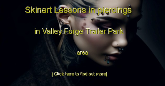 Skinart Lessons in piercings in Valley Forge Trailer Park area-United Kingdom