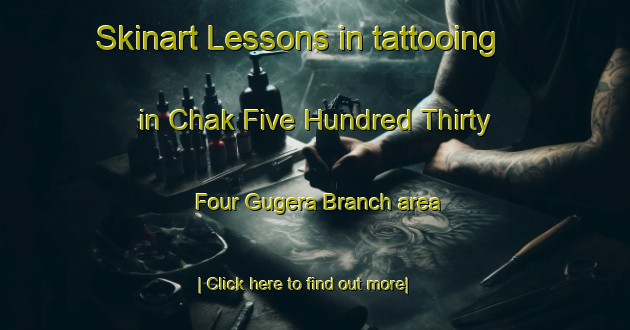 Skinart Lessons in tattooing in Chak Five Hundred Thirty Four Gugera Branch area-United Kingdom