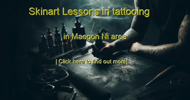 Skinart Lessons in tattooing in Maegon Ni area-United Kingdom