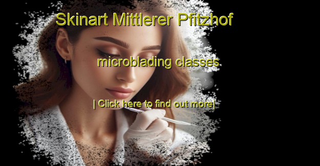 Skinart Mittlerer Pfitzhof microblading classes-United Kingdom