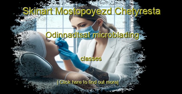 Skinart Mostopoyezd Chetyresta Odinnadtsat microblading classes-United Kingdom