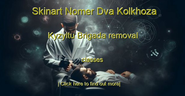 Skinart Nomer Dva Kolkhoza Kyzyltu Brigada removal classes-United Kingdom