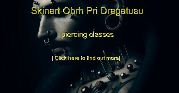 Skinart Obrh Pri Dragatusu piercing classes-United Kingdom