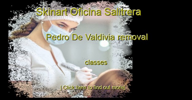 Skinart Oficina Salitrera Pedro De Valdivia removal classes-United Kingdom