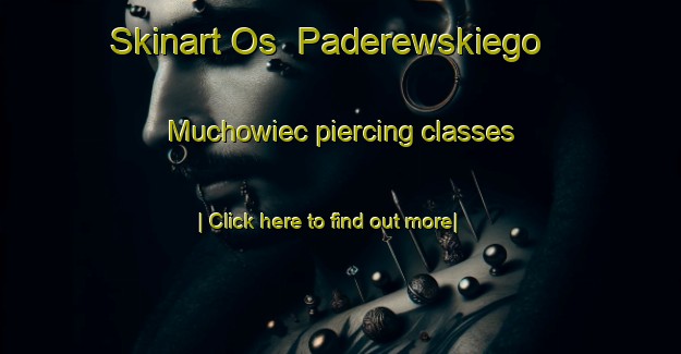 Skinart Os  Paderewskiego   Muchowiec piercing classes-United Kingdom