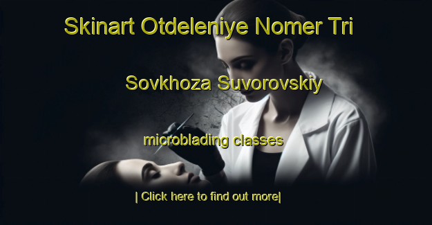 Skinart Otdeleniye Nomer Tri Sovkhoza Suvorovskiy microblading classes-United Kingdom