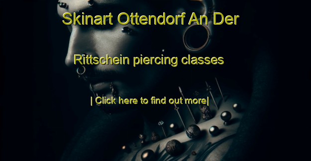 Skinart Ottendorf An Der Rittschein piercing classes-United Kingdom