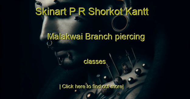 Skinart P R Shorkot Kantt Malakwai Branch piercing classes-United Kingdom