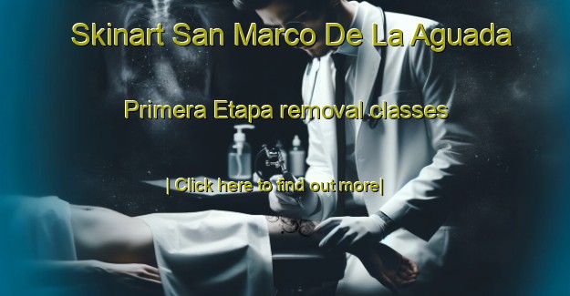 Skinart San Marco De La Aguada Primera Etapa removal classes-United Kingdom