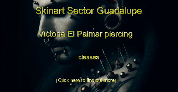 Skinart Sector Guadalupe Victoria El Palmar piercing classes-United Kingdom