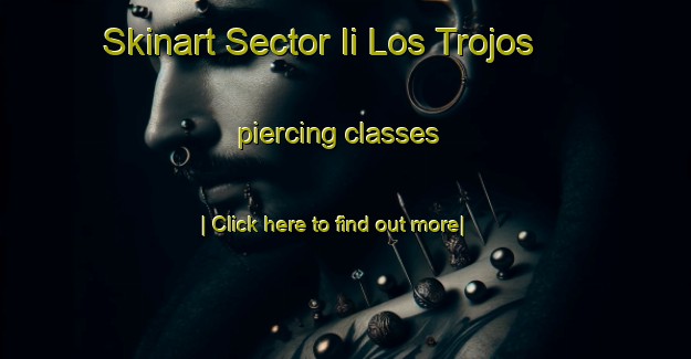 Skinart Sector Ii Los Trojos piercing classes-United Kingdom