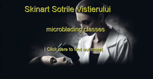 Skinart Sotrile Vistierului microblading classes-United Kingdom