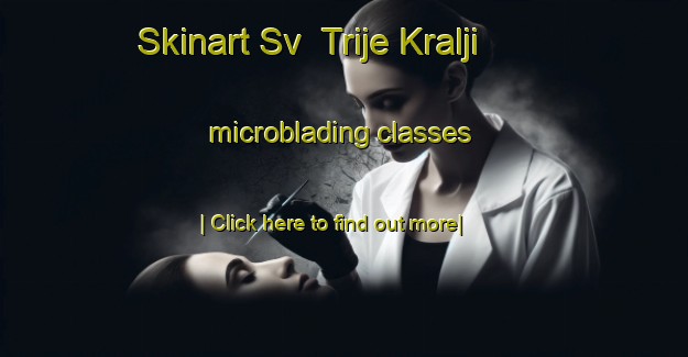 Skinart Sv  Trije Kralji microblading classes-United Kingdom