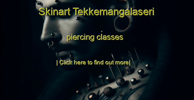 Skinart Tekkemangalaseri piercing classes-United Kingdom